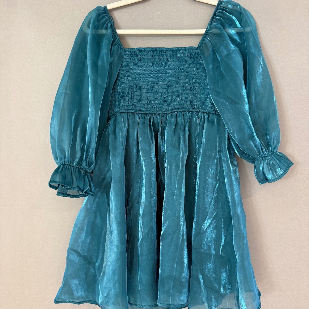 Thirty Thirty Sheen Sheer Puff Long Sleeve Mini Dress Small